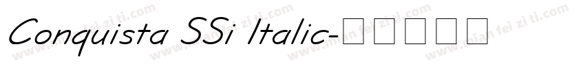 Conquista SSi Italic字体转换